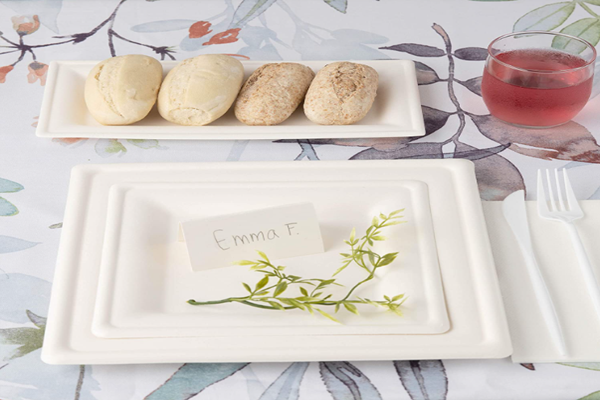 Bagasse square plates are frequently present in our daily activities