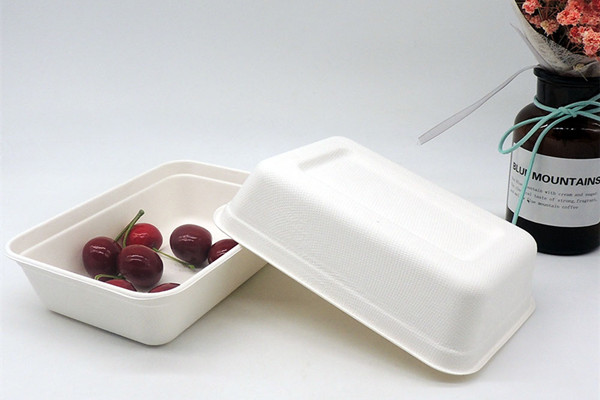 eco friendly fast food boxes