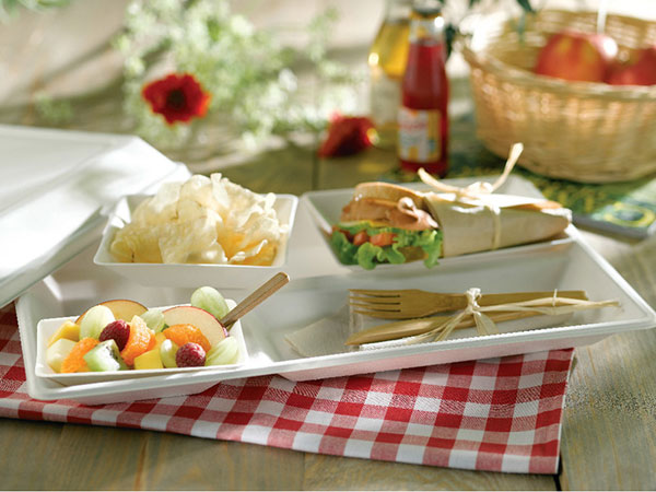 Must-have eco-friendly products: PLA compostable cutlery set and bagasse plate