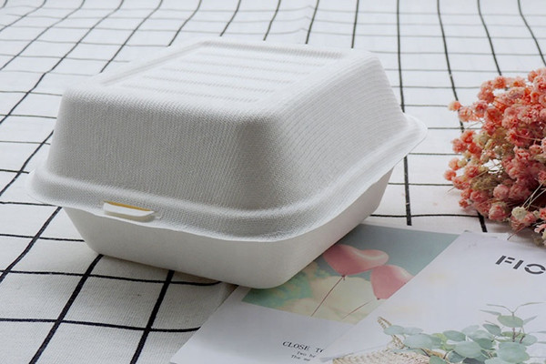 bagasse takeaway food container