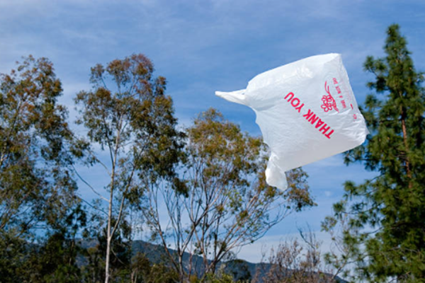 Biodegradable bags wholesale helps home and business