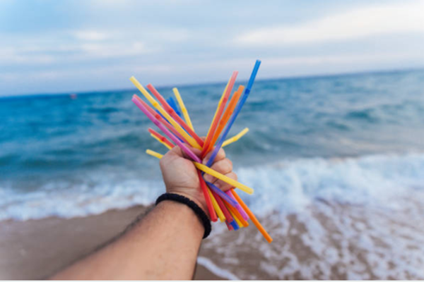 Biodegradable straws wholesale vs reusable straws