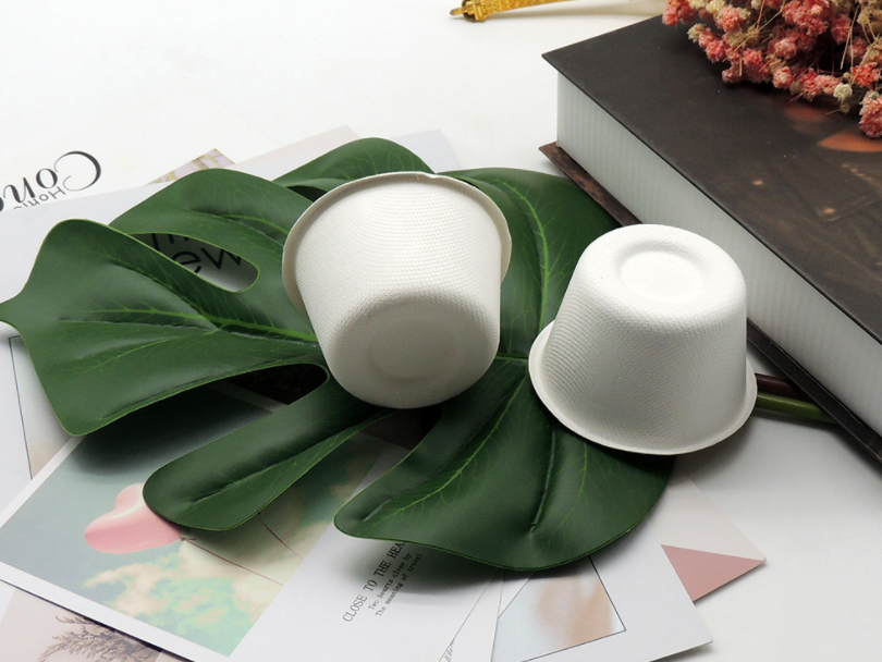 biodegradable soup cups