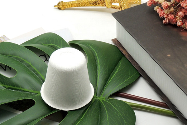 biodegradable soup cups