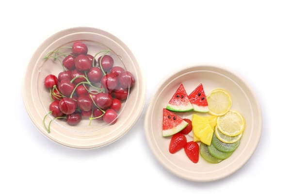 biodegradable soup bowls