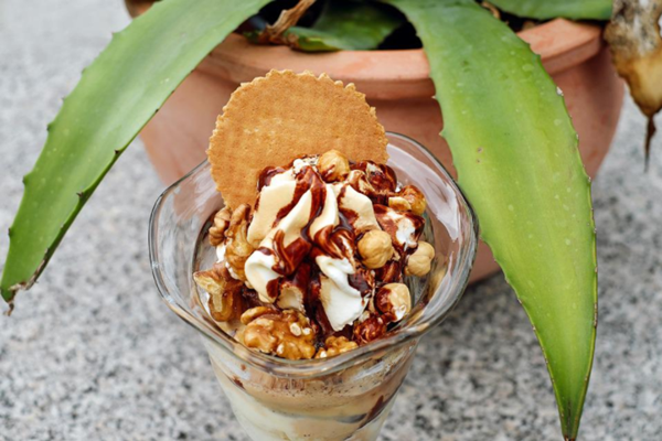 Product introduction: Compostable ice cream spoons