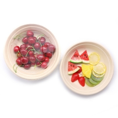 Sugarcane bagass soup bowl food box package bowl sugarcane disposable sugarcane bowl with lid