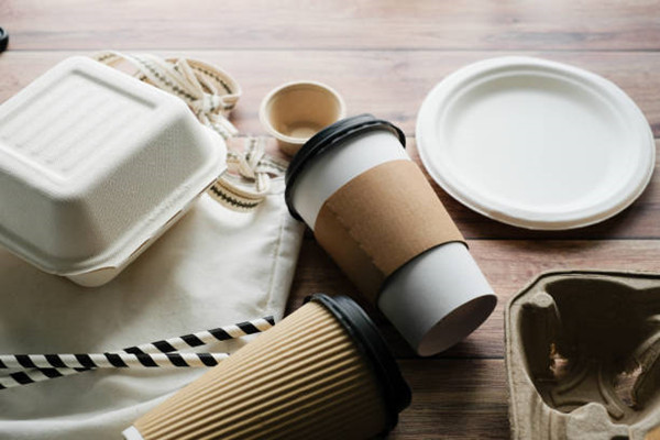 The Importance Of Having Eco Friendly Disposable Box