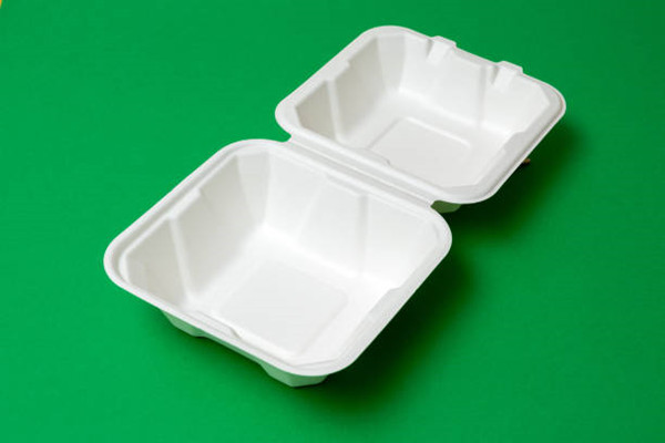 Fast Food Containers