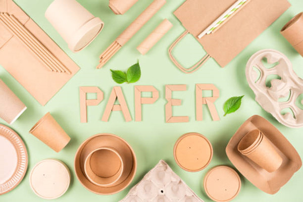 Choose Disposable Kraft Paper Box To Reduce Your Food Packaging Costs