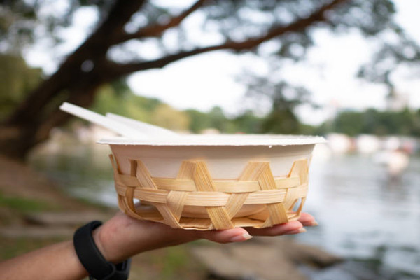 How Is Compostable Bagasse Plates Environmentally Friendly?