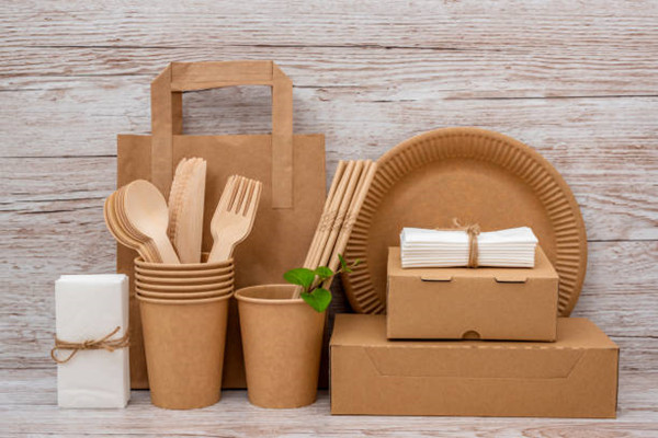 biodegradable fast food packaging