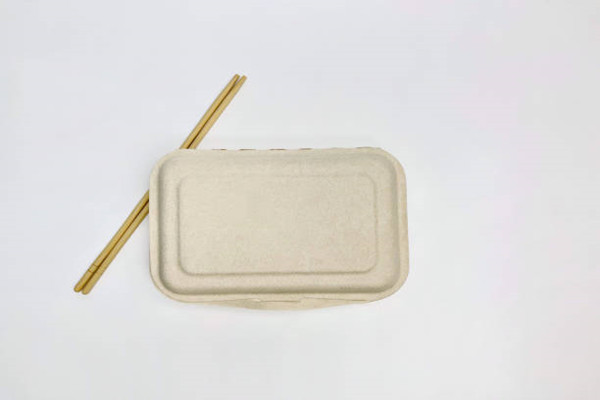 biodegradable lunch box