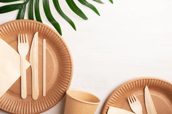 Invest in biodegradable disposable cutlery to benefit your business