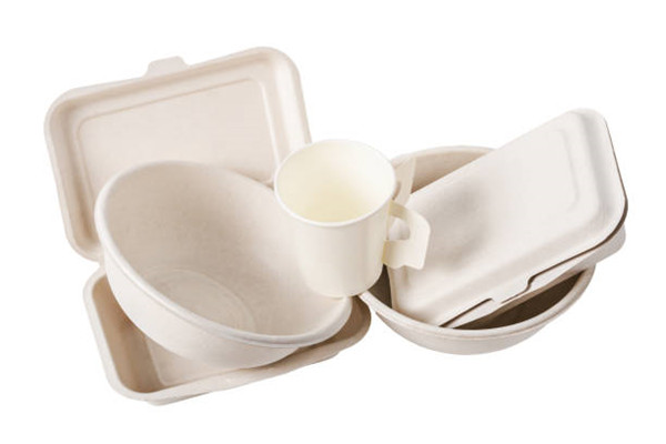 bagasse takeaway food containers