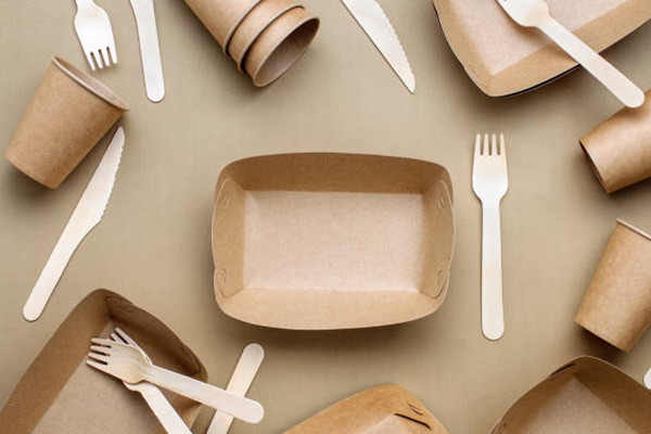 Why Restaurants Must Invest In Disposable Paper Box