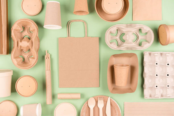 Why choose biodegradable disposable utensils