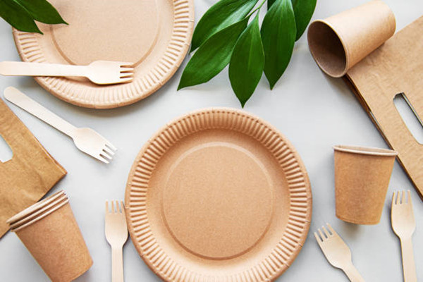 biodegrdable tableware