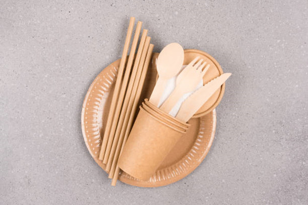 biodegradable disposable utensils