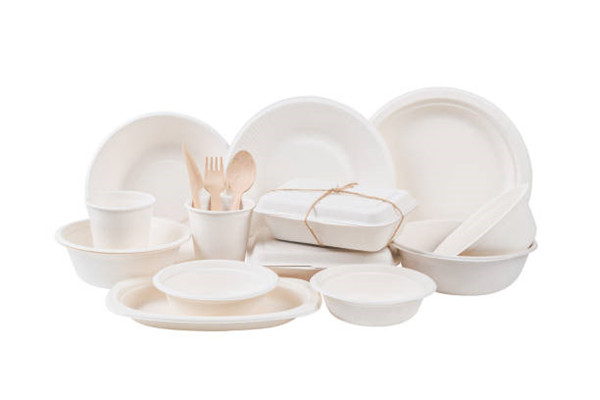 Bagasse Takeaway Containers