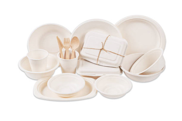 The value of bagasse food container has reached new heights