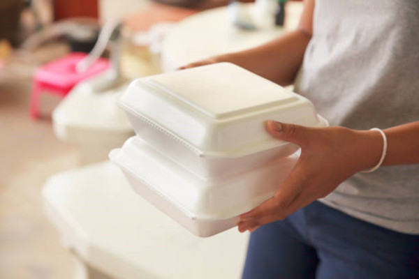 disposable food containers