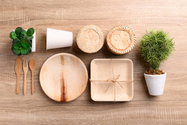 Biodegradable food tray for sustainable eating habits