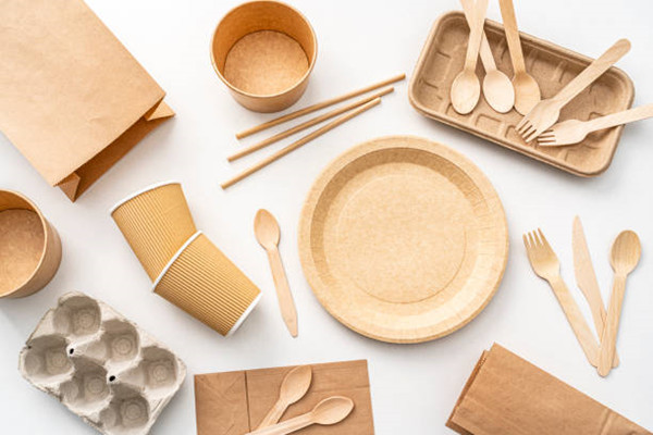 Disposable food tray become the new tableware for fast food restaurants