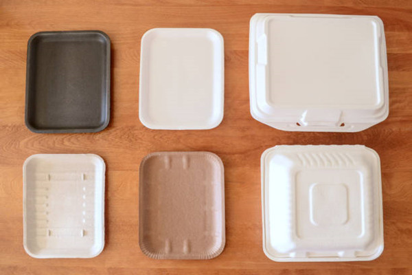 Disposable food tray