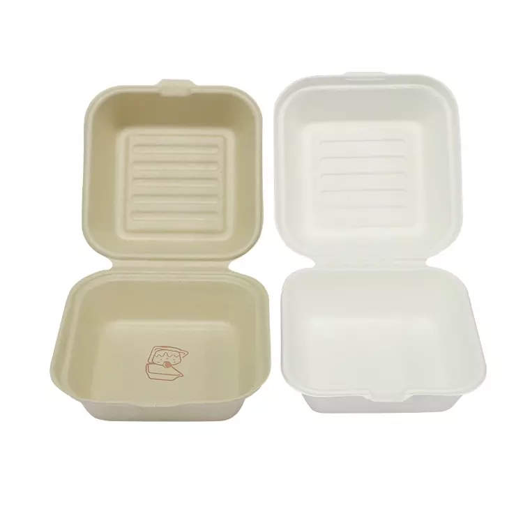 Boîte à lunch jetable à emporter biodégradable de bagasse de canne à sucre de nouvelle conception avec le couvercle