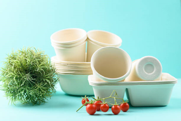 Why choosing to use cornstarch containers is good for your business