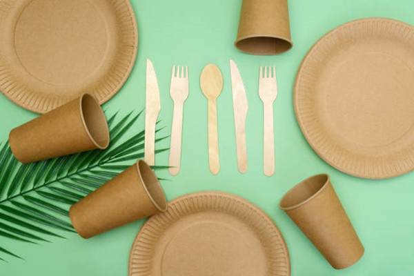 Introduction of different disposable tableware