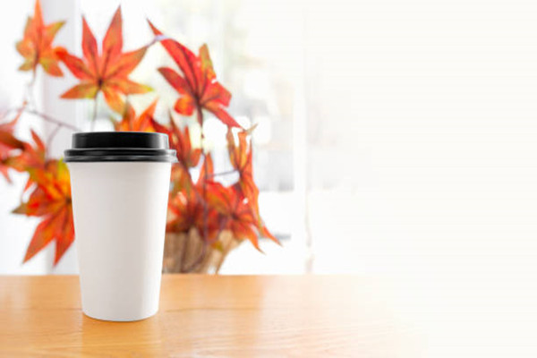 pla coated paper cup