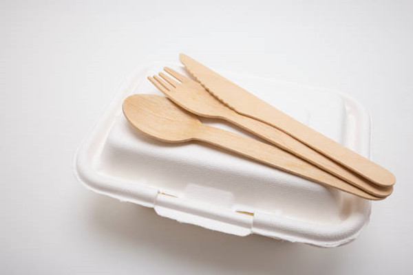 disposable lunch box