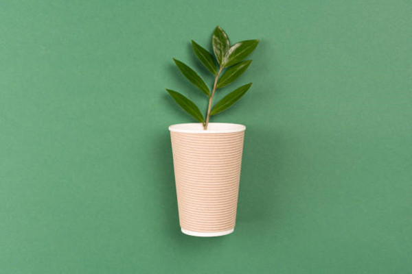 Compostable cups benefit your business