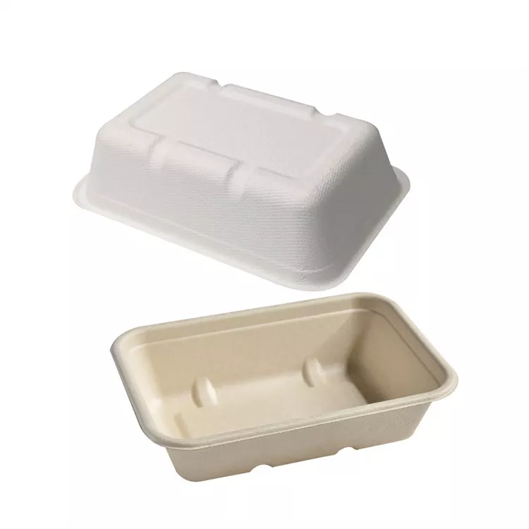 Biodegradable Bagasse Clamshell Box တခါသုံး ပန်းကန်ပြား အရည်အသွေးမြင့် ကြံအစားအစာ ကွန်တိန်နာ