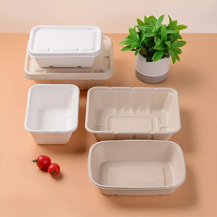 Boîte à clapet en bagasse biodégradable Plaque jetable Récipient alimentaire en canne à sucre de haute qualité