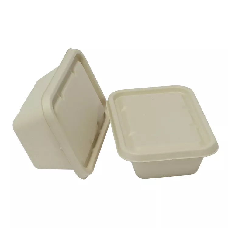 Biodegradable Bagasse Clamshell Box Disposable Plate High Quality Sugarcane Food Container