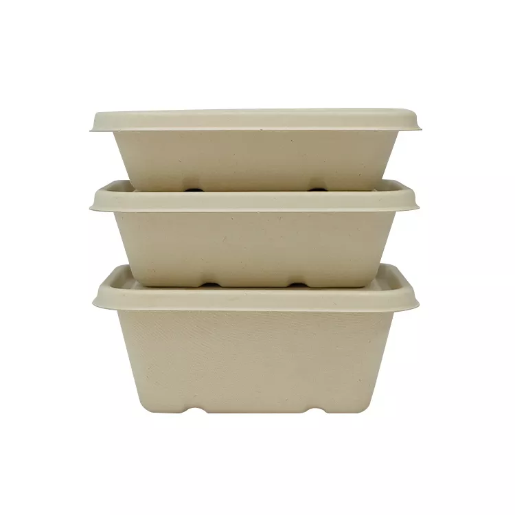 Biodegradable Bagasse Clamshell Box တခါသုံး ပန်းကန်ပြား အရည်အသွေးမြင့် ကြံအစားအစာ ကွန်တိန်နာ