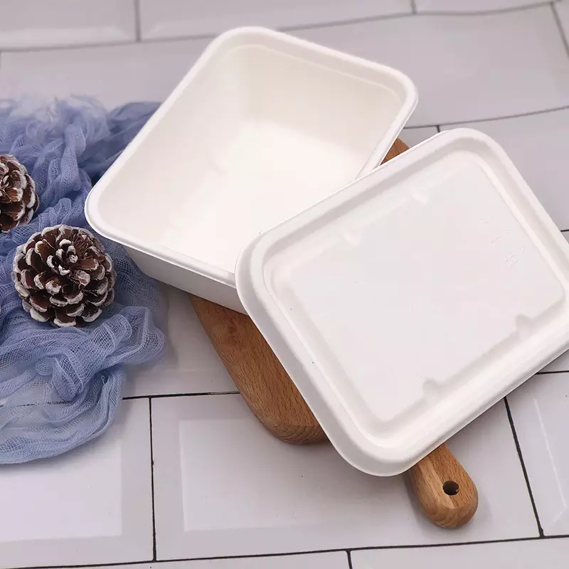 Boîte à clapet en bagasse biodégradable Plaque jetable Récipient alimentaire en canne à sucre de haute qualité