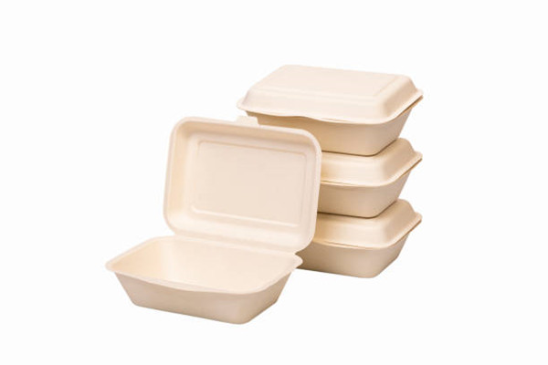 Bagasse disposable food container