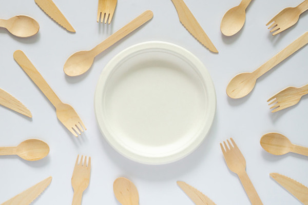 Biodegradable bagasse tableware