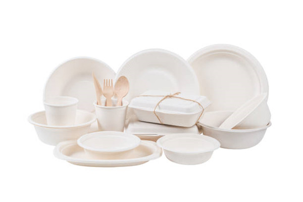 Biodegradable bagasse tableware makes your business greener