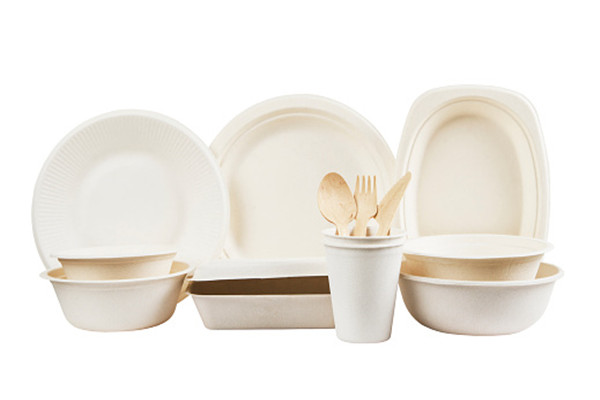 Benefits of using bagasse fast food box in food service