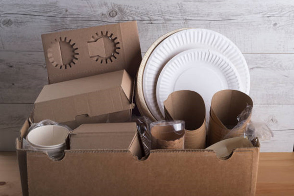 Advice for wholesale disposable food service products