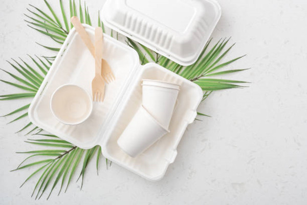 Biodegradable tableware