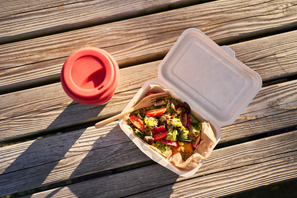 Using eco friendly lunch boxes is the first step in reducing plastic waste