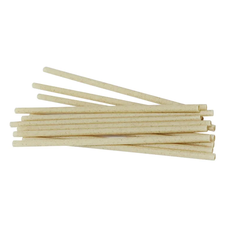 2023 Hot Sale Compostable Fashion Sugarcane Straws Sugarcane Bagasse Paper Pulp Straws