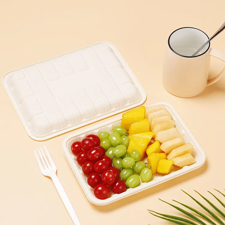 Custom Disposable Biodegradable Cornstarch Rectangle Food Tray