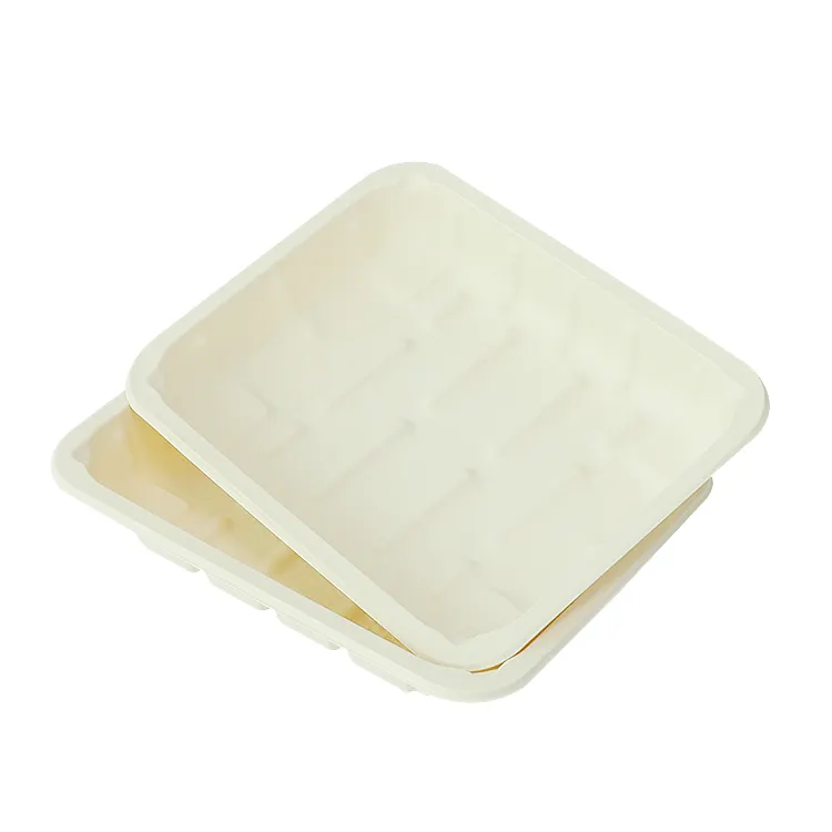 Custom Disposable Biodegradable Cornstarch Rectangle Food Tray